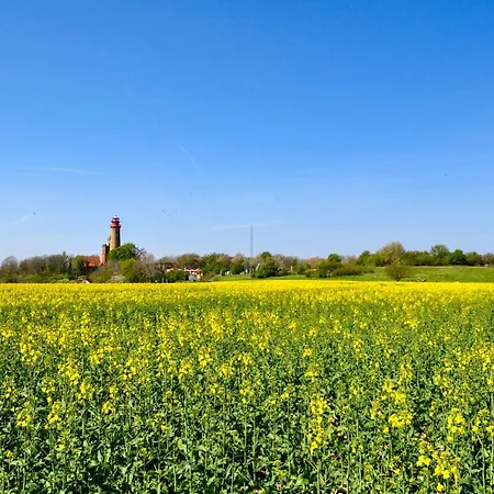 Dom wakacyjny Ostseehaus Am Naturstrand - Arkonablick