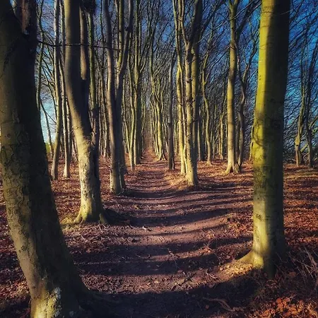 Ostseehaus Am Naturstrand - Arkonablick Dom wakacyjny