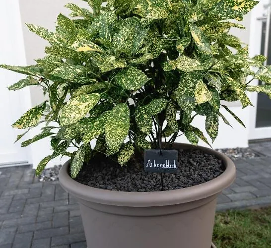 Feriehus Ostseehaus Am Naturstrand - Arkonablick