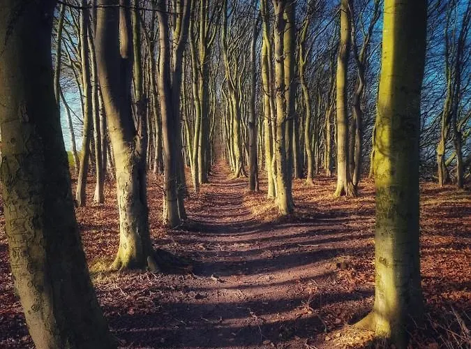 Ostseehaus Am Naturstrand - Arkonablick Feriehus